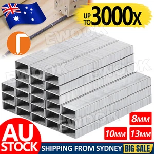 1000x Door Shaped Staples 8-13mm Nails For Staple Gun Stapler Refills upholstery - Picture 1 of 12