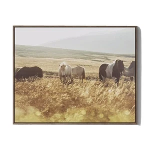 Horses in the countryside 30" x 24" Framed Wall Canvas Threshold Project 62 NIB - Picture 1 of 2