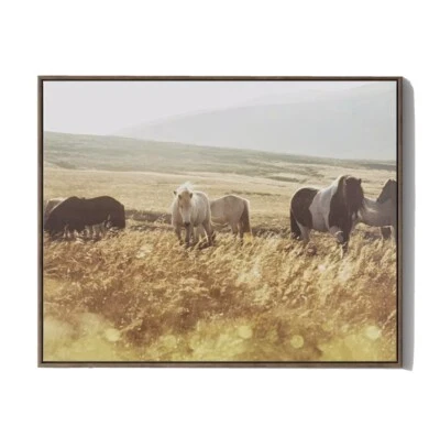 Horses in the countryside 30" x 24" Framed Wall Canvas Threshold Project 62 NIB - Image 1 of 2