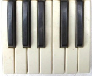 Hammond Organ KEYCAPS Octave of Keys - For Early S-Chord Organ - Picture 1 of 1