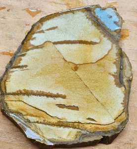 Owyhee Succor Creek Bild Jaspis Lapidarplatte 44 Gramm - Bild 1 von 10