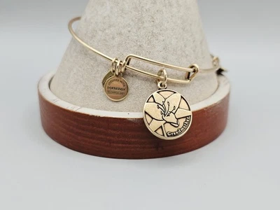 Alex and Ani Gold  "Love You Grandmother "  Charm Bangle Bracelet ✨️  - Image 1 of 4