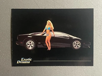 1991 Lamborghini diablo Coupe CM Exotisch Dreams " Sammelkarte Selten #42 - Bild 1 von 2