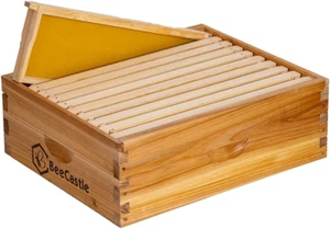 Caja de colmena súper abeja de 10 marcos mediana, colmena abeja miel Langstroth sumergida en 100% abeja - Imagen 1 de 6