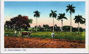 Kuba Escena Campestre Habana Havanna Vintage Postkarte C135 - Bild 1 von 2