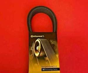 Cinturón Serpentine OE Continental 1060725 A060725 4060725 K060725 - Imagen 1 de 2
