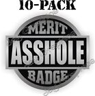 10-PACK Funny A-HOLE Merit Badge Hard Hat Stickers | Foreman Gag Boss Decals USA