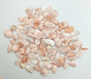Natural Scolecite Cabochon,Handmade Scolecite Loose Gemstone for Jewelry 72596 - Picture 1 of 5