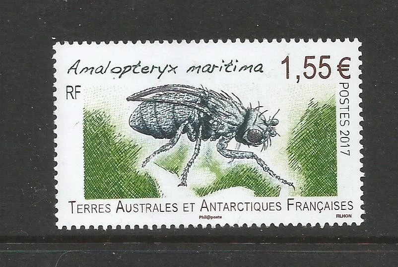 FRENCH ANTARCTIC 2017 FLY INSECT.  MINT NEVER HINGED. - Image 1 of 1