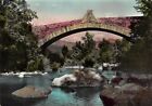 Cartolina Rezzoaglio Antico Ponte Sull 'Aveto 1958 Colorata