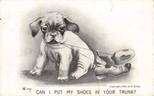 Vintage Postkarte: Kann ich meine Schuhe in den Kofferraum legen? Welpe, 1909, V. Colby - Bild 1 von 2