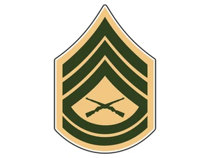 #2797 E7 Sargento de Armería Bronceado y Verde Impermeable Vinilo Adhesivo Calcomanía Troquelada - Imagen 1 de 1