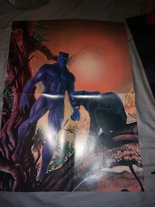 The Black Panthers Poster 21x16  - Bild 1 von 1