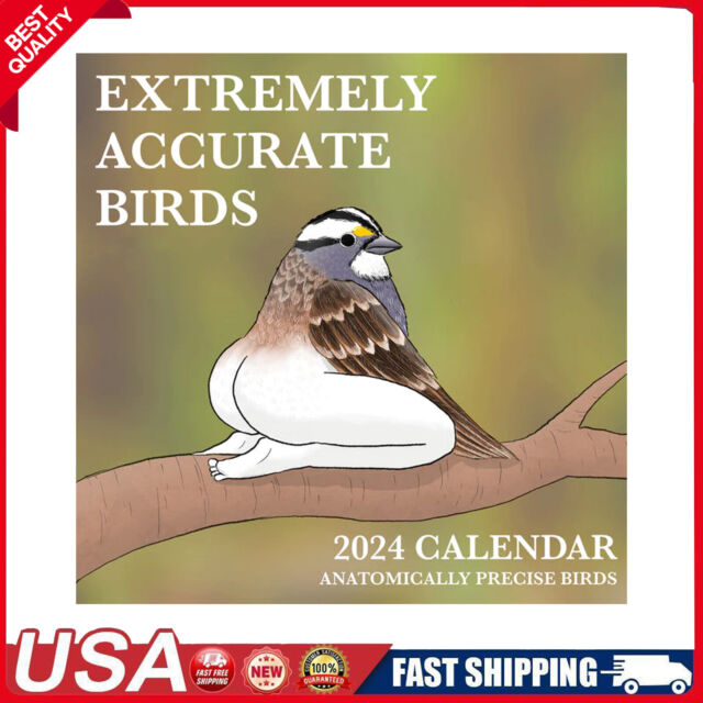 BIRD LOVERS BIRD WATCHERS WATERCOLOR 2024 MINI MAGNETIC CALENDAR