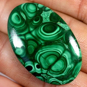 80.85 Cts 100% Natural MAJESTIC MALACHITE Cabochon 26x41x05mm Loose Gemstone T53 - Picture 1 of 2