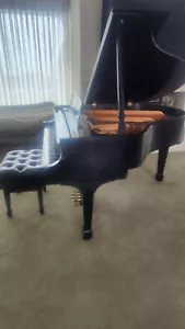 STEINWAY & SONS BABY GRAND PIANO MODEL S 2003 (See NEW Sonny's Video Tour) - Picture 1 of 12