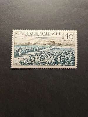 TIMBRE MADAGASCAR CHAMP DE TABAC POSTE AÉRIENNE PA N°79 NEUF ** LUXE MNH 1960 - Photo 1/2