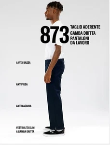 Casual pants HERREN Dickies Dunkelblau 873 WORK PANT Lifestyle - Picture 1 of 17