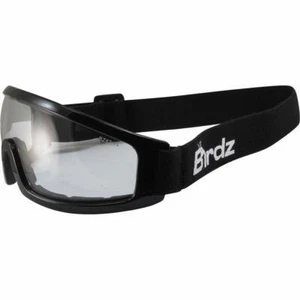 Birdz Robin Sport Skydiving Snowboarding Motorcycle Riding Goggles Clear Lens - Picture 1 of 4