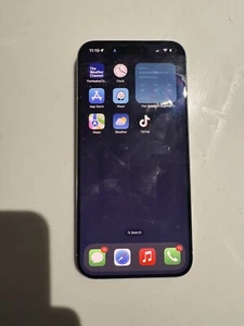 iPhone 15 Pro Max With Tik Tok Downloaded! - Picture 1 of 1