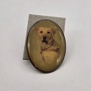 Broche prendedor ovalado vintage Labrador para perro - moda retro amante de los animales mejor amigo - Imagen 1 de 5