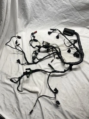 09-14 2009-2014 BMW S1000RR MOTOR CABLEADO SUB ARNÉS OEM Foto 1 de 4