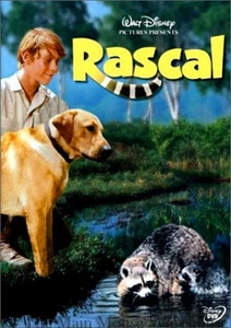 Rascal by Sterling North Disney Family Comedy Pet Raccoon Dog Movie on DVD - Imagen 1 de 1