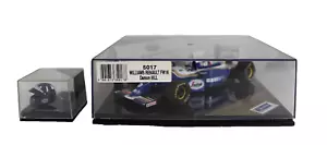 Heritage Classics 5017 Williams Renault FW16 Damon HILL auto e casco HF006 - Foto 1 di 18