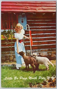 North Pole New York Vintage Postcard Little Bo Peep and her Sheep - Picture 1 of 2