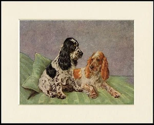 COCKER SPANIEL ROAN HUNDE CHARMANT HUNDEDRUCK MONTIERT RAHMENFERTIG - Bild 1 von 1
