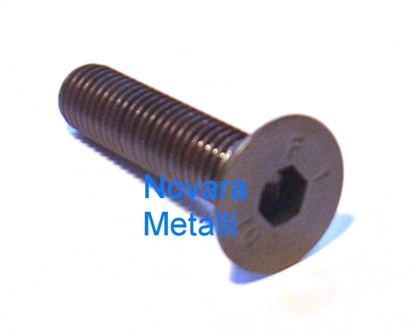 20 viti Brugola Testa Svasata M5x10 vis tête fraisé tornillos avellanado Allen - Immagine 1 di 1