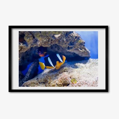 Tulup Bild MDF gerahmte Wand Dekor 60x40cm Tropischer Fisch - Bild 1 von 4