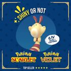 Sentret Shiny or Non ✨ 6 IV Customizable Nature Level OT Pokémon Scarlet Violet