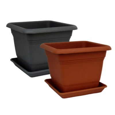 SCHEURICH Set 1 Pflanzkübel inkl. Untersetzer eckig Kunststoff verschiedene Größen/Farben