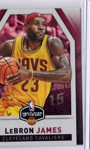 LeBron James 2016 NBA Player of the Day No.14 NMT-MNT