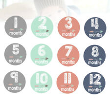  12 Pcs Newborn Western Party Decorations Baby Monthly Stickers