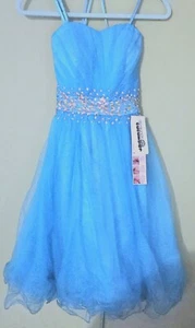 Beautiful Long Cinderella Couture  By Sammie Hahn Dress ,Size 16 - Picture 1 of 3