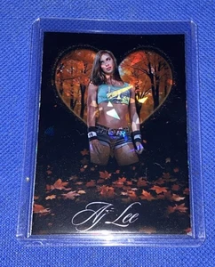Aj Lee Custom WWE Divas Holographic Autumn Leaves Wrestling Trading Card rc - Picture 1 of 4