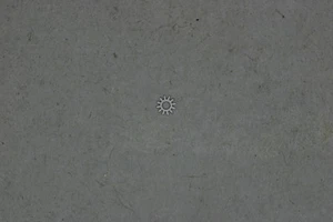 Venus 170 part 451 Renvoi de minuterie Minute setting wheel Rinvio NOS - Picture 1 of 1