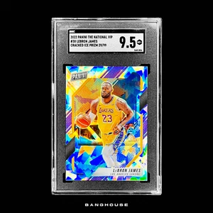 2022 Panini The National VIP LEBRON JAMES #/99 🔥 CRACKED ICE PRIZM 🔥 GEM MINT - Picture 1 of 7