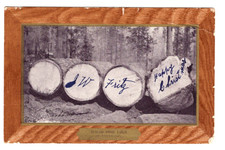 Postcard Sugar Pine Logs,Ullman's Art Frame Series,Undivided Posted 1907