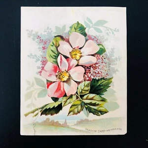 Vintage Queen Victoria Trade Card Woolson Spice Co. Werbung Schattenkarte - Bild 1 von 6