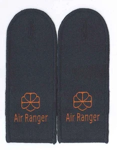 Extinct HONG KONG GIRL GUIDES - HK GG AIR RANGER EPAULETTES PATCH (PAIR) - Picture 1 of 2