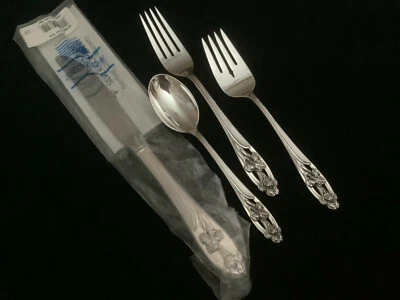 IRIS PLATEADO INTERNACIONAL 4 piezas. ajuste(s) lugar(s) Foto 1 de 2