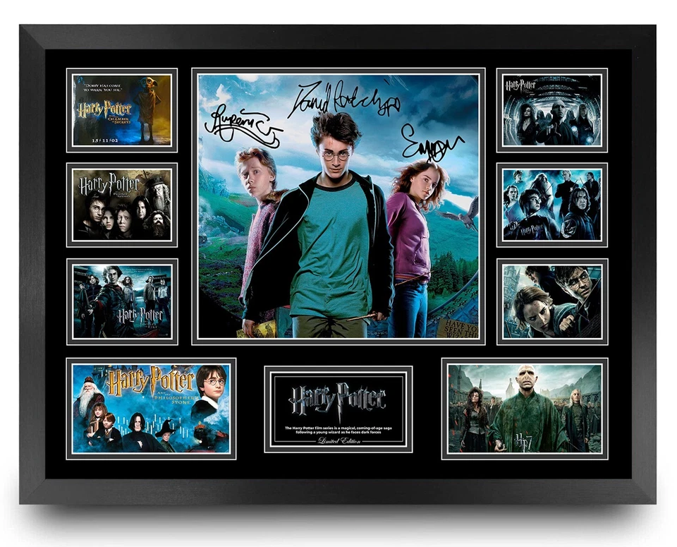 HARRY POTTER COLLECTION DANIEL RADCLIFFE WATSON FRAMED MEMORABILIA - image 1 of 2