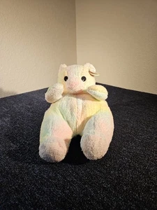 NEW Ty Pillow Pals Bearbaby Plush 12" Tie Dye Pastel Rattle Stuffie 1999 w/ Tags - Picture 1 of 8