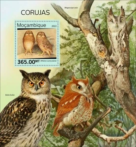 Mozambique Stamps 2022 MNH Owls Souvenir Sheet - Picture 1 of 1