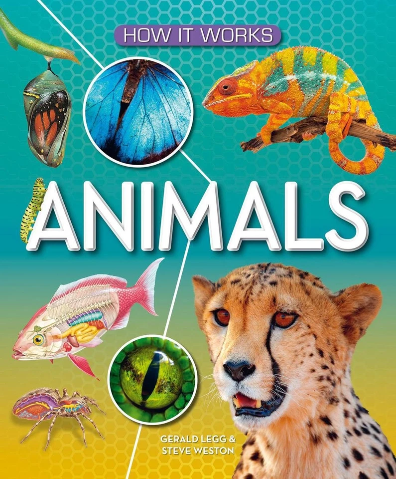 How It Works: Animals by Gerald Legg (English) Hardcover Book - Image 1 of 1