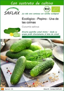 SAFLAX - Ecol?gico - Pepino - Uva de las colinas - 15 semillas - Con sustrato - - Imagen 1 de 9