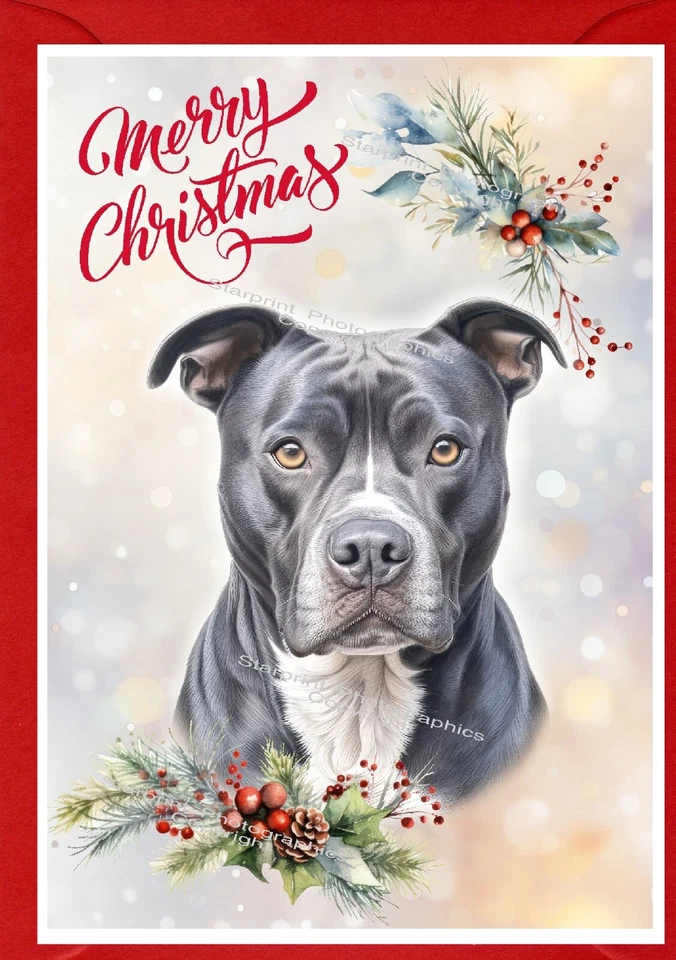 Staffordshire Bull Terrier Christmas Card A6 (4"x 6") (Blank inside) - Starprint